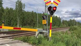 79 Million Views  Level Crossing  Kvarnvägen Korsträsk  Norrbotten Sweden [upl. by Asinla]