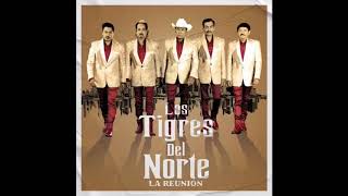 11 El Coyote  Los Tigres Del Norte [upl. by Talbert]