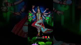 Saccha hai tera darbar mata jai mata di youtubeshorts [upl. by Adkins223]