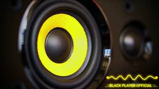 BASS BOOSTED  REMIX MUSIC BASS TEST EXTREMEBASS BASSBOOSTER DJ MUSIC NEW SONG BEATS SPEAKER TEST [upl. by Arlette]