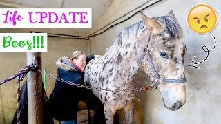 Osteopaat vertelt waarom Olympus zo boos doet  LIFE UPDATE  felinehoi DAGVLOG 179 [upl. by Philomena]