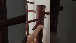 Wing Chun IP Strike Ability wingchun kungfu martialarts training exercise shorts diy [upl. by Mills]