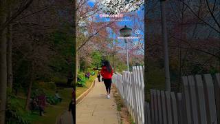 Shillong 🌸 youtube vloginassamese assameseminivlog vlog [upl. by Eniala137]