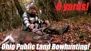 Big Buck Down  Ohio Public Land Archery Hunting 2024 bowhunting [upl. by Rechaba942]