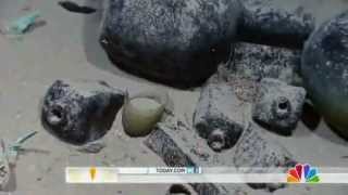 200 year old pirate ship found in the gulf of Mexico [upl. by Ailadgim]