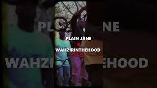 PLAIN JANE FT WAHZIRINTHEHOOD MASHUP  AAP FERG  WAZIR PATAR  A  MXJOR [upl. by Osnola]