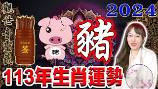 2024年 屬【豬 】生肖 113年龍年整體運勢 [upl. by Lasonde]