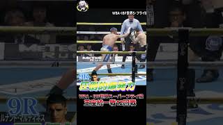 井岡一翔 vs フェルナンド・マルティネス WBA・IBF世界スーパーフライ級王座統一戦 12回戦 ABEMA 格闘技ch【切り抜き】Shorts abematv [upl. by Irbmac]