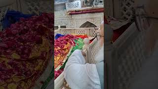 💞Hka Sabir ya Sabir 💕 kaliyar sharifdargahsabirpak youtubeshortsshortvideo sabirpakdargah [upl. by Barbuto]