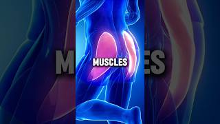 5 Foods You Must Eat if You Want to Grow Your Muscles health healthtips [upl. by Jaella722]