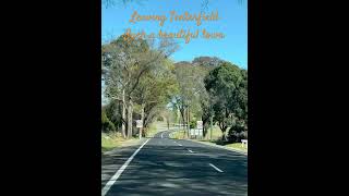 Heading out of Tenterfield roadtrip travel prettytrees peterallen australia roadtrip [upl. by Irem816]