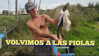 Pescando anguilas con aparejos en Pesca en agua dulce [upl. by Oniram]