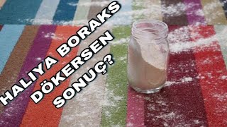 Boraks’ın muhteşem etkisi  Haşere 🐜 ve temizlikte izleyin [upl. by Elijah43]