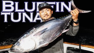 A DREAM TRIP For Bluefin Tuna [upl. by Thaddus]