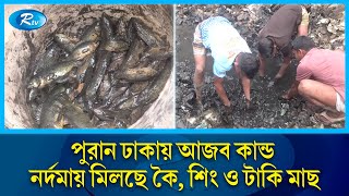 পুরান ঢাকায় নর্দমা থেকে দেশি মাছ শিকার করছে শ্রমজীবী মানুষ  Old Dhaka  Fish  Rtv News [upl. by Cally]