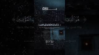 Surah AlFath  A Beautiful Recitation and Reflection [upl. by Kecaj]