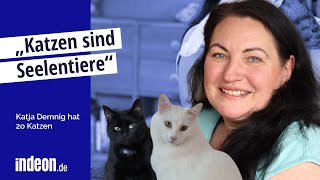 Hessin lebt mit 20 Katzen unter einem Dach [upl. by Thorner893]