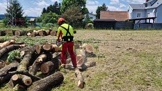 Stihl MS 500i first start an first cuts [upl. by Acimad]