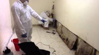 Black Mold Removal  Winston Salem NC [upl. by Ttelrahc]