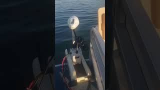 Haswing trolling motor noise [upl. by Bullivant760]