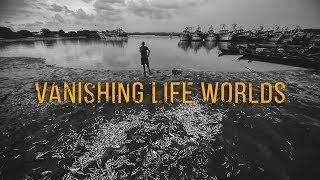 Vanishing Life Worlds  KR Sunil I KochiMuziris Biennale 2016 [upl. by Jedthus46]