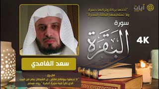 سورة البقرة كاملة سعد الغامدي  قراءة هادئة ماشاء الله Sourat Al Baqara  Saad Al Ghamidi [upl. by Valtin]