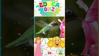 Qual Animal Pode Pairar no Ar e Voar para Trás 🐦  Educa Quiz  26 educakidsbrasil educaquiz [upl. by Micro769]