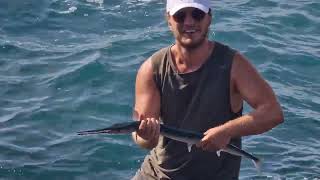 Catching a Longtom Fish in Tenerife  Los Cristianos Beach Fishing [upl. by Leiand20]