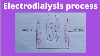 Electrodialysis in hindi  colloidal dispersion  physical pharmaceutics 4 semester [upl. by Virnelli]