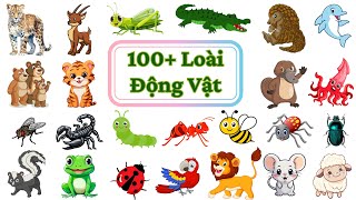 Tổng Hợp 100 Loài Động Vật Con Gì Đây Dạy bé học Châu chấu cá heo sư tử đại bàng [upl. by Massarelli]