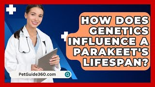 How Does Genetics Influence a Parakeets Lifespan  PetGuide360com [upl. by Ansilma761]