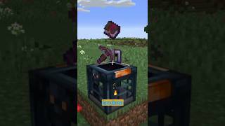 minecraft just changed all effects snapshot 24w05b [upl. by Htor]