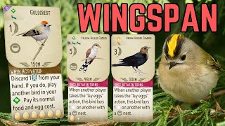 Amazing Goldcrest Game Wingspan Board Game Strategy amp Gameplay [upl. by Norty]