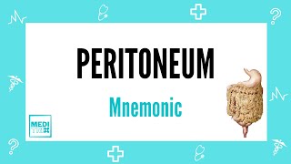 Peritoneum  Retroperitoneal organs  Mnemonic  Homoeopathy  Anatomy  Medi Trix [upl. by Atiluap]