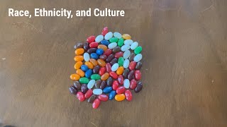 Race Ethnicity and Culture [upl. by Divad]