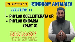 Phylum CoelenterataCnidaria Part 3 I Chapter 10 I FSc I First Year I biology I Lec 09 [upl. by Dranal]