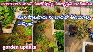 చాలా బాధగా అనిపించినా తప్పలేదు Terrace garden update Grow Food homemakerstrategy [upl. by Alehs917]