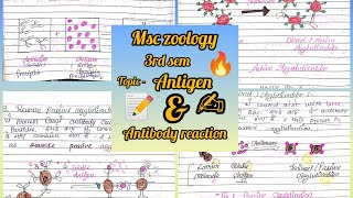 antigen and antibody reaction msc zoology 3rd sem notes immunology ✍️📝✨ [upl. by Adev]