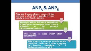 NATRIURETIC PEPTIDES [upl. by Collimore263]