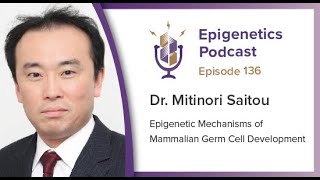 Epi Podcast 136  Epigenetic Mechanisms of Mammalian Germ Cell Development with Mitinori Saitou [upl. by Amata795]