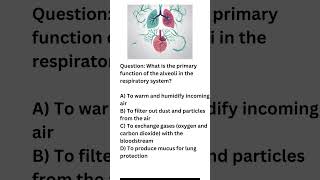 quotUnderstanding the Vital Role of Alveoli in Breathing Gas Exchange with the Bloodstreamquot [upl. by Sprage]