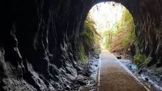 Blue Mountains Historic Sites Glow Worm Tunnel Newnes Plateau Wollemi NP Blue Mountains NSW [upl. by Dragelin264]