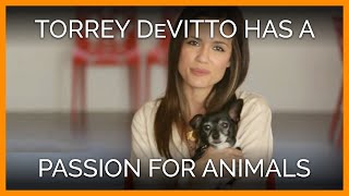 Torrey DeVitto Shares Her Passion for Animals [upl. by Alex]