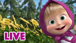 🔴 LIVE STREAM 🎬 Masha and the Bear 🐻🤣 The World Beyond 😲🌎 [upl. by Amador]