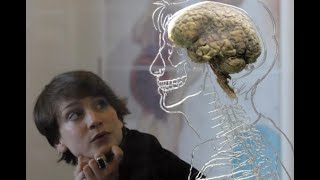 Por que o Psicólogo deve conhecer Neuroanatomia e Neurofisiologia   Básico de Neuropsicologia [upl. by Durarte457]