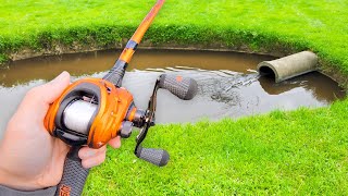 This SMALL Pond is LOADED w GIANT Bass [upl. by Hiltan558]