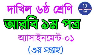 Dakhil Class 6Arabic 1st Paper  Assignment1  দাখিল ৬ষ্ঠ শ্রেণি আরবি ১ম ৩য় সপ্তাহ [upl. by Zuckerman423]