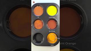 Color mixing 7  Multiple liquid color mixing ASMR colormixing paintmixing mixedcolors asmr [upl. by Gorlicki]