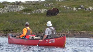 Upper Thelon River  Paddle amp Portage 2023 [upl. by Hurwitz20]