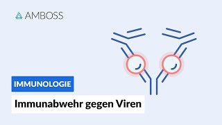 Immunabwehr gegen Viren  Immunologie  AMBOSS Video [upl. by Wildermuth]